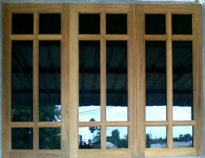 Windows door